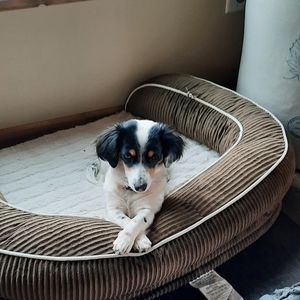 Meet your Posher, Patty